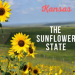 Kansas State Nickname The Sunflower State