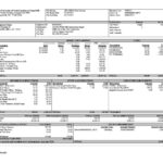 Paystub Finance And Budget