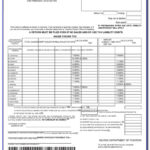 State Of Nevada Combined Sales And Use Tax Return Form Form Resume